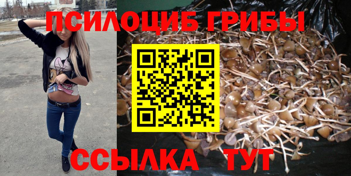 Псилоцибиновые грибы Cubensis  Вход с VPN  Галлюциногенные грибы Cubensis  купить наркоту  Сорочинск 